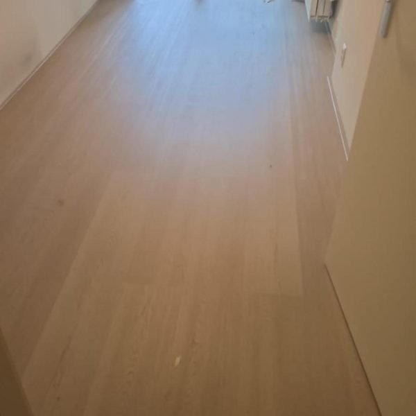 d97ce653-8602-4cf5-a0ec-69366e8ba1be